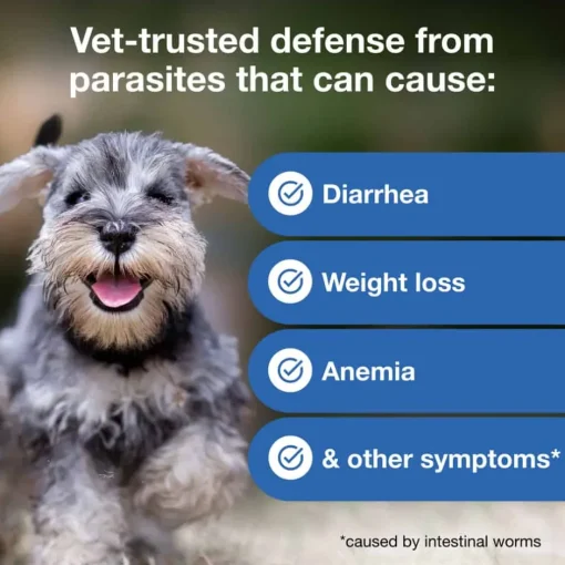 Outlet Interceptor Plus - Heartworm + Broad Spectrum Prevention Soft Chew for Dogs