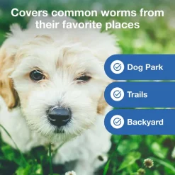 Outlet Interceptor Plus - Heartworm + Broad Spectrum Prevention Soft Chew for Dogs