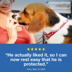 Outlet Interceptor Plus - Heartworm + Broad Spectrum Prevention Soft Chew for Dogs