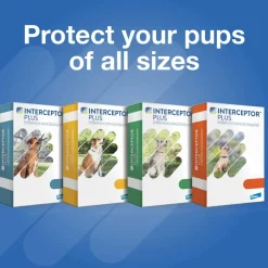 Outlet Interceptor Plus - Heartworm + Broad Spectrum Prevention Soft Chew for Dogs