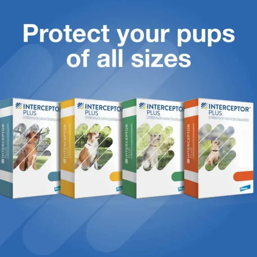 Outlet Interceptor Plus - Heartworm + Broad Spectrum Prevention Soft Chew for Dogs