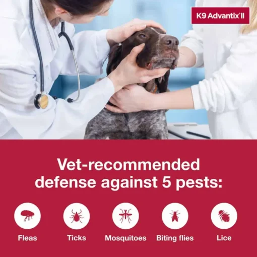 Clearance K9 Advantix II - Flea & Tick Topical for Dogs