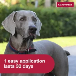 Clearance K9 Advantix II - Flea & Tick Topical for Dogs