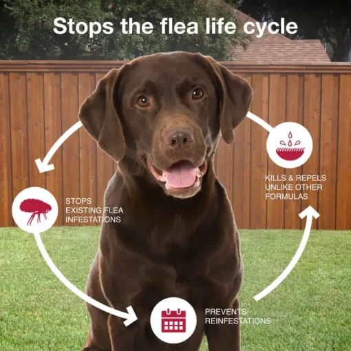 Clearance K9 Advantix II - Flea & Tick Topical for Dogs