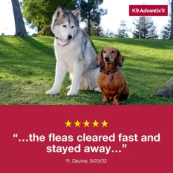 Clearance K9 Advantix II - Flea & Tick Topical for Dogs
