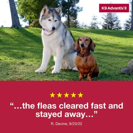 Clearance K9 Advantix II - Flea & Tick Topical for Dogs