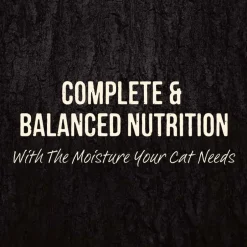 Best Merrick Backcountry Grain Free Real Beef Cuts Cat Food Pouch