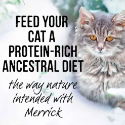 Best Merrick Backcountry Grain Free Real Beef Cuts Cat Food Pouch