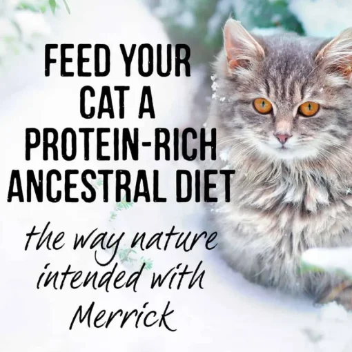 Best Merrick Backcountry Grain Free Real Beef Cuts Cat Food Pouch
