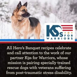 Outlet Merrick Backcountry Raw Infused with Healthy Grains Great Plains Red Dry Dog Food