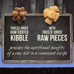 Best Merrick Backcountry Raw Infused Grain Free Puppy Dry Dog Food