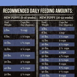 Best Merrick Backcountry Raw Infused Grain Free Puppy Dry Dog Food