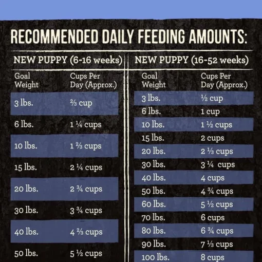 Best Merrick Backcountry Raw Infused Grain Free Puppy Dry Dog Food