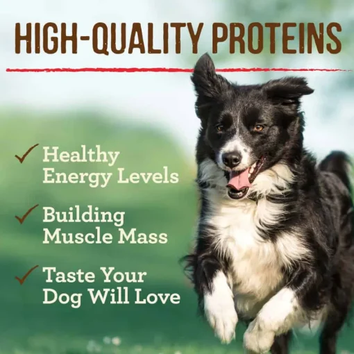 Hot Merrick Grain Free 96% Real Chicken Canned Dog Food