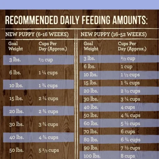 Best Merrick Grain Free Puppy Chicken Dry Dog Food
