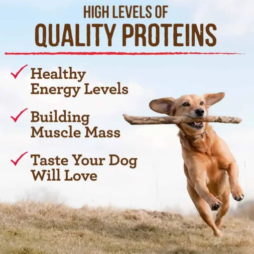 Best Merrick Grain Free Puppy Chicken Dry Dog Food