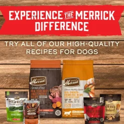 Best Merrick Grain Free Slow Cooked BBQ Memphis Style Chicken Canned Dog Food