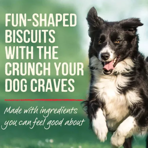 Best Merrick Oven Baked Paw'some Peanut Butter Dog Treats
