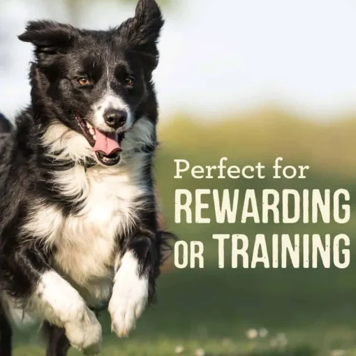 New Merrick Power Bites Grain Free Rabbit Dog Treats