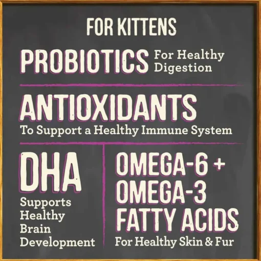 Hot Merrick Purrfect Bistro Grain Free Healthy Kitten Recipe Dry Cat Food
