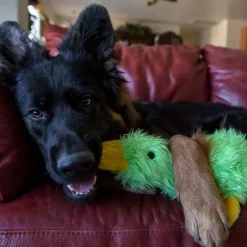 Online Multipet Duckworth Splash Dog Toy