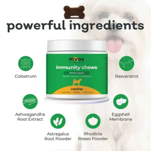 Fashion MYOS Canine Immunity Chews - Immune Support