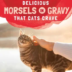 Sale Natural Balance Original Ultra Platefulls Salmon, Tuna, & Crab Recipe in Gravy Wet Cat Food