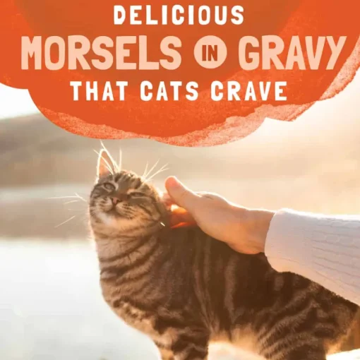 Online Natural Balance Original Ultra Platefulls Indoor Turkey & Duck Recipe in Gravy Wet Cat Food