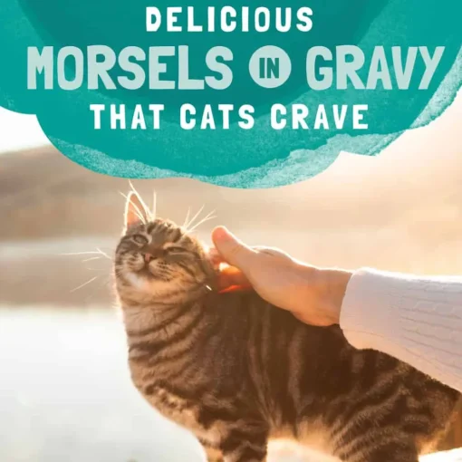 Discount Natural Balance Original Ultra Platefulls Chicken & Salmon Recipe in Gravy Wet Cat Food