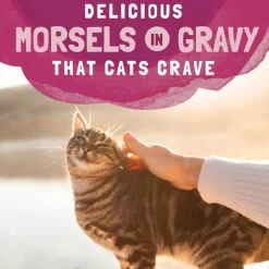 Fashion Natural Balance Original Ultra Platefulls Indoor Turkey, Salmon & Chicken Recipe in Gravy Wet Cat Food