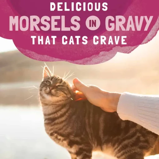 Fashion Natural Balance Original Ultra Platefulls Indoor Turkey, Salmon & Chicken Recipe in Gravy Wet Cat Food