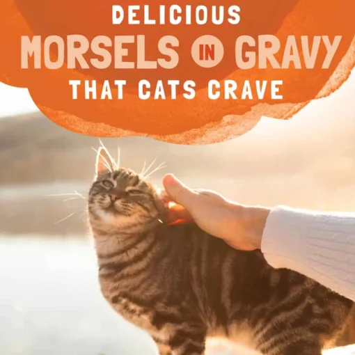 New Natural Balance Original Ultra Platefulls Turkey, Chicken & Duck Recipe in Gravy Wet Cat Food