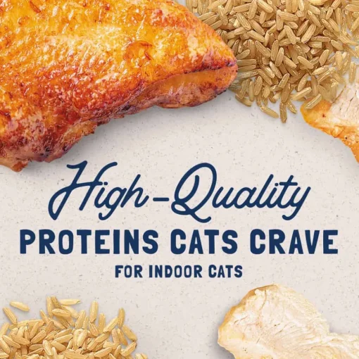Sale Natural Balance Original Ultra Indoor Chicken Recipe Wet Cat Food