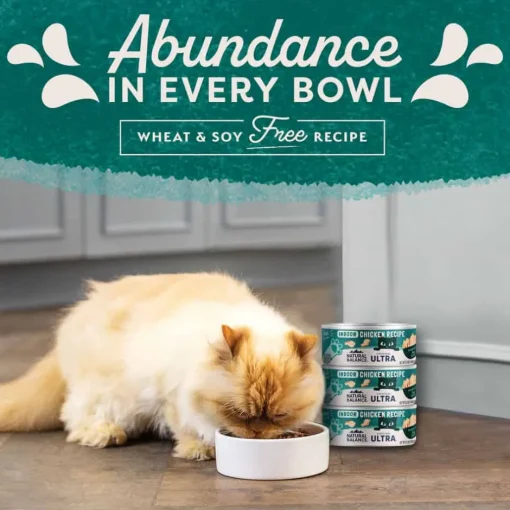 Sale Natural Balance Original Ultra Indoor Chicken Recipe Wet Cat Food