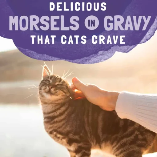 Discount Natural Balance Original Ultra Platefulls Indoor Chicken & Chicken Liver Recipe in Gravy Wet Cat Food