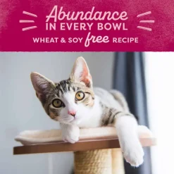 Outlet Natural Balance Original Ultra Chicken Meal & Salmon Meal Recipe Dry Cat Food