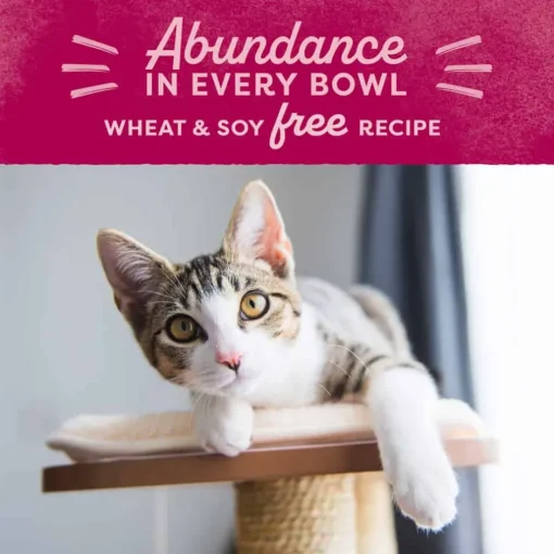 Outlet Natural Balance Original Ultra Chicken Meal & Salmon Meal Recipe Dry Cat Food