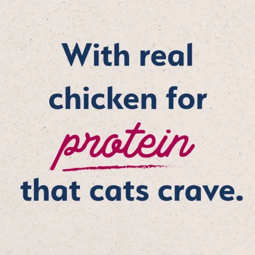 Outlet Natural Balance Original Ultra Chicken Meal & Salmon Meal Recipe Dry Cat Food