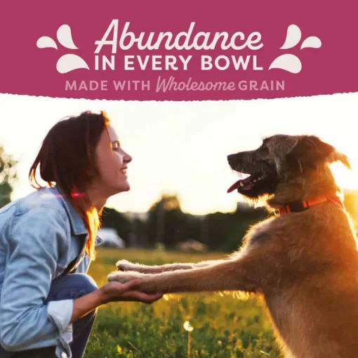 Discount Natural Balance Original Ultra Fat Dogs Recipe Dry Dog Food