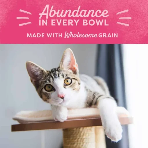 Online Natural Balance Targeted Nutrition Fat Cats Low Calorie Recipe Dry Cat Food