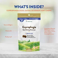 Sale NaturVet Coprophagia Stool Eating Deterrent Plus Breath Aid Supplement for Dogs