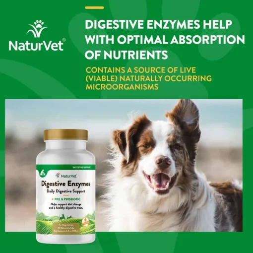 Discount NaturVet Digestive Enzymes Plus Probiotic Tablets