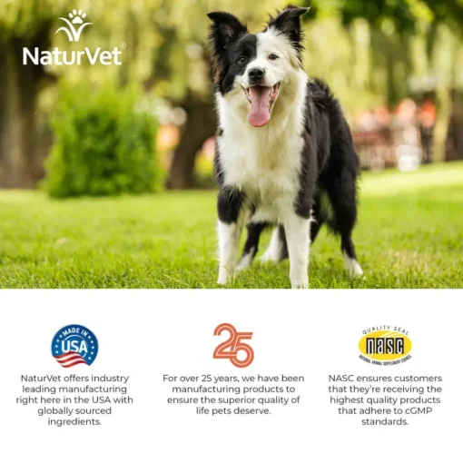 Discount NaturVet Digestive Enzymes Plus Probiotic Tablets