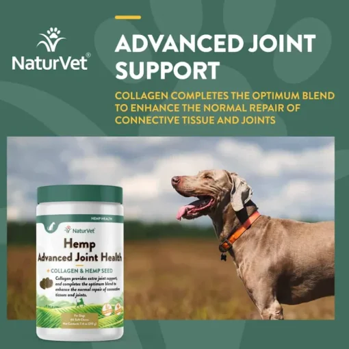 Best NaturVet Hemp Advanced Joint Health Supplement with Collagen for Dogs