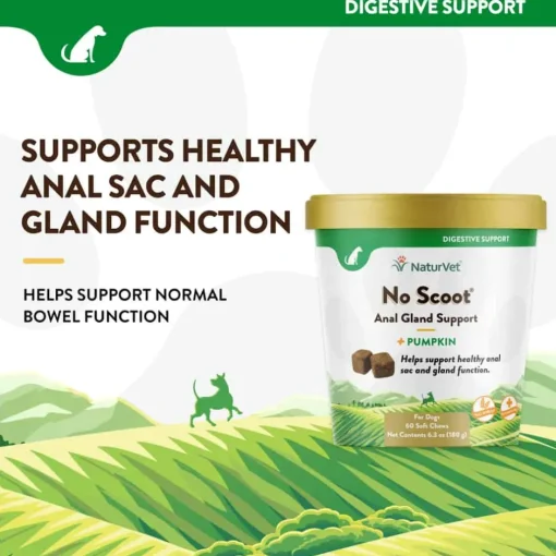 Discount NaturVet No Scoot Plus Pumpkin Soft Chews for Dogs