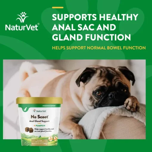 Discount NaturVet No Scoot Plus Pumpkin Soft Chews for Dogs