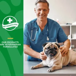 Discount NaturVet No Scoot Plus Pumpkin Soft Chews for Dogs