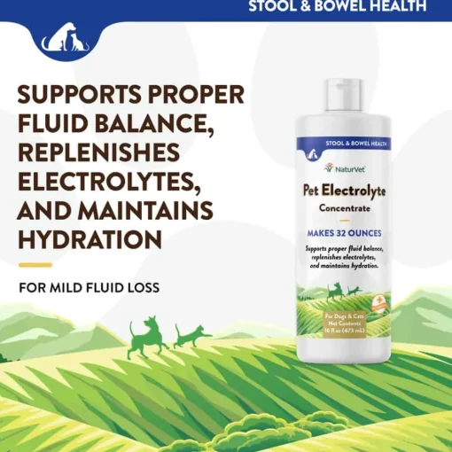 Outlet NaturVet Pet Electrolyte Liquid Concentrate for Dogs and Cats