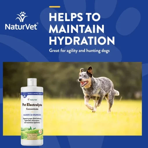 Outlet NaturVet Pet Electrolyte Liquid Concentrate for Dogs and Cats