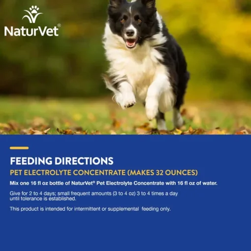 Outlet NaturVet Pet Electrolyte Liquid Concentrate for Dogs and Cats